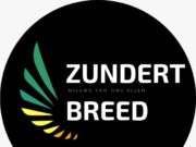 Kunst en Curiosa Markt Logo Zundert Breed