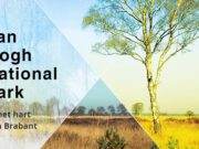 In de streek waar Vincent van Gogh opgroeide