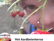 Het aardbeienterras