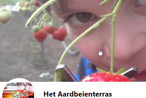 Het Aardbeienterras vanaf 21 maart weer geopend
