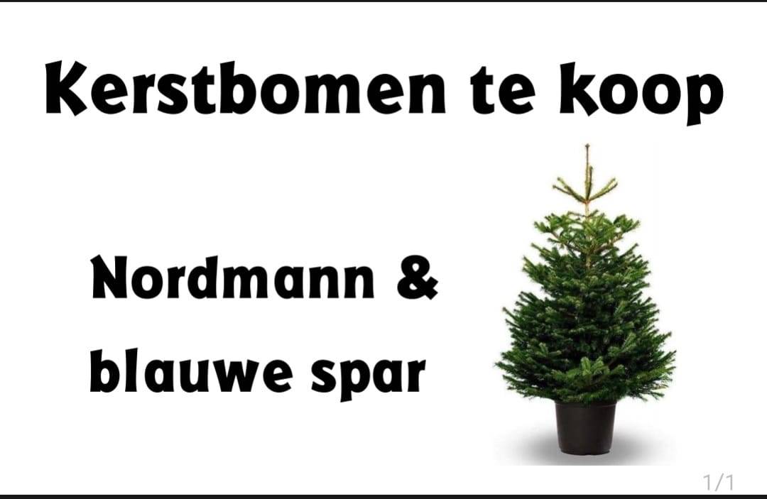 Kerstbomen te koop, Ettenseweg 70 Rijsbergen | Digitaal
