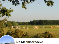De Menmoerhoeve: we gaan er even tussen uit!