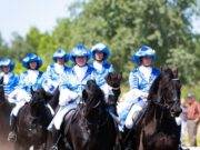 Friesche Carrousel Groep