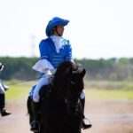 Foto Friesche Carrousel Groep