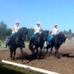 Foto Friesche Carrousel Groep