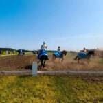 Foto Friesche Carrousel Groep