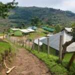 Foto Jolanda mathijssen