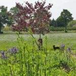 Foto Tuin Toer Zundert