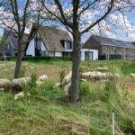 Foto gemeente Zundert