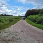Foto  Vogel natuurwerkgroep Zundert