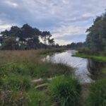 Foto  Vogel natuurwerkgroep Zundert