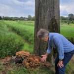 Foto  Vogel natuurwerkgroep Zundert
