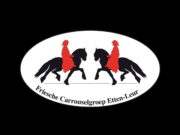 Friesche Carrouselgroep