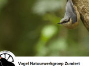 Vogel Natuurwerkgroep Zundert
