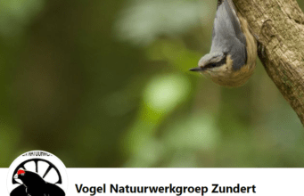 Fototentoonstelling Vogel Natuurwerkgroep Zundert