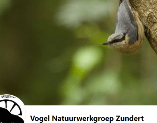 Vogelnatuurwerkgroep