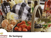 Kunst en Meer op de Santspuy