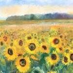 Foto zundert breed 001