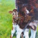 Foto zundert breed 003