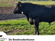 De Breebroekerhoeve Rijsbergen