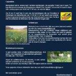 Foto Bernadet Rijvers