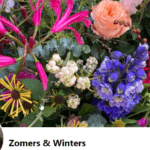 Foto Zomers en Winters