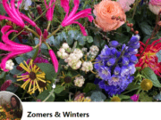 Zomers en Winters