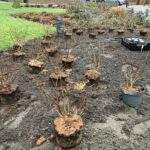 Foto gemeente Zundert 003