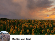 Een bijzondere combinatie