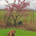 Foto moerkenhoeve 001