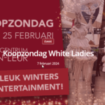 Foto winkelcentrum Etten-Leur