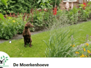 De Moerkenhoeve Rijsbergen