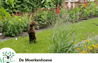 De Moerkenhoeve Rijsbergen