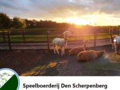 Speelboerderij Den Scherpenberg