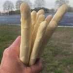 Foto de Santspuy 003