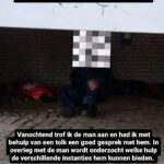 Foto zundert alert