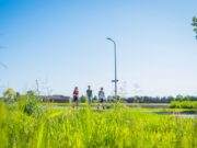 Van Gogh Wandeling 1 juni 2024