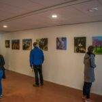 Foto zundert breed 003