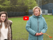 Opening hondenspeelveld Rijsbergen