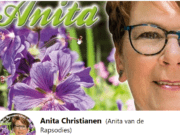 Sterrenfestival, gehandicaptenmiddag