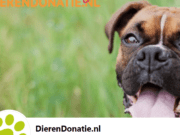 Dierendonatie.nl