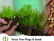 Tenax Tree-Plugs & Seeds: Vacature