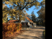 Horecatopper om ons team te versterken