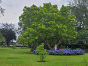 Tuintoer Zundert 2024