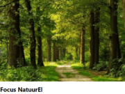 Focus NatuurEL