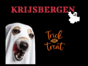 Halloween (K)Rijsbergen