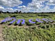 De Zonnebloemen van Vincent van Gogh