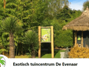 Exotisch Tuincentrum de Evenaar