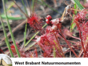 West-Brabant natuurmonumenten