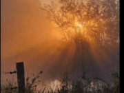 Marlies van Geel was vanmorgen al vroeg op pad met haar camera.